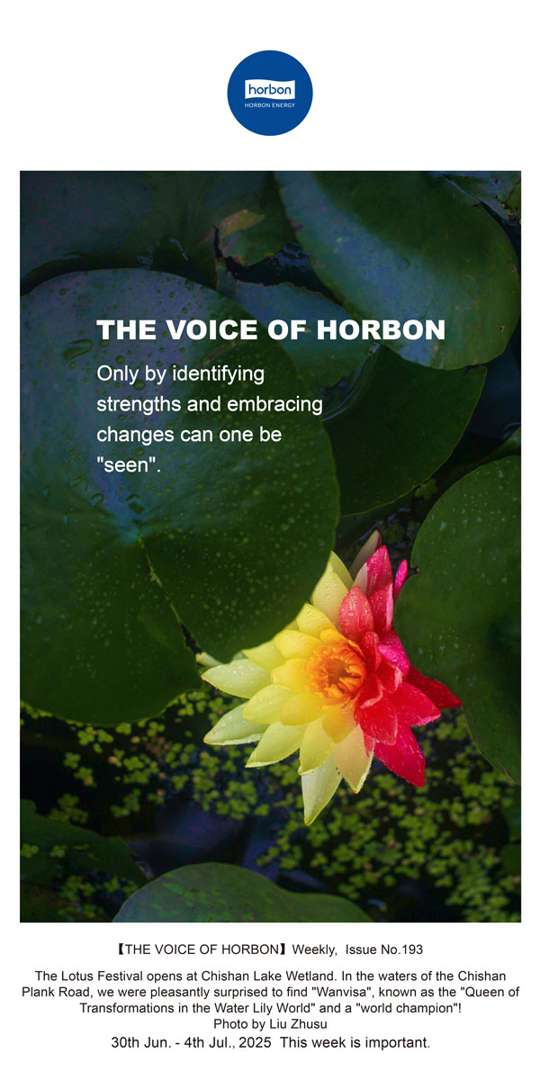 【和之声】找准优势、拥抱变动，能力“被看见”。(总第193期）--2025.6英文导出季度推送用.jpg